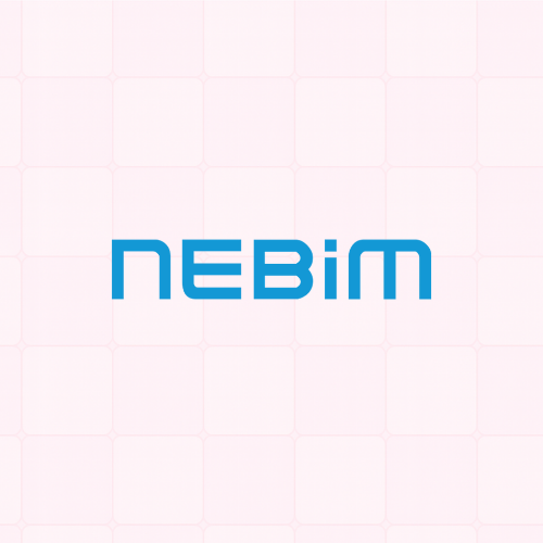 Nebim Fatura Entegrasyonu